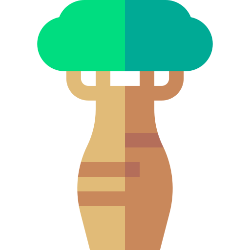 baobab Basic Straight Flat icoon
