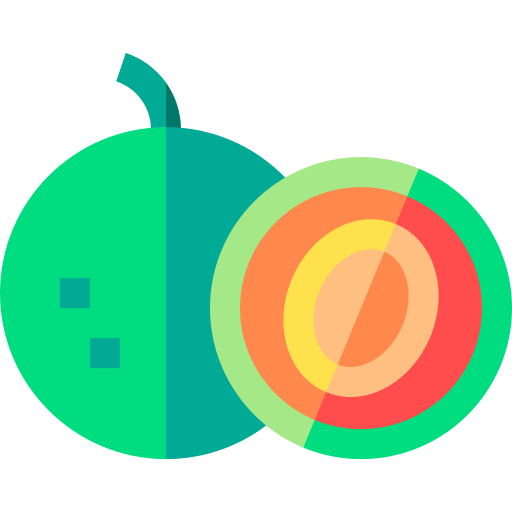 cantaloup-melone Basic Straight Flat icon