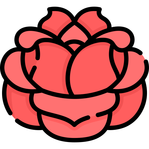róża Special Lineal color ikona