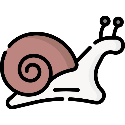 escargot Special Lineal color Icône