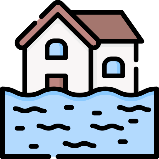 홍수 Special Lineal color icon
