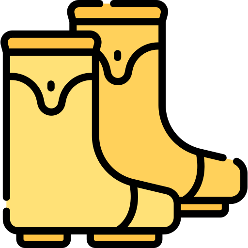 Rain boots Special Lineal color icon