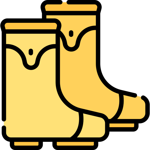 regenstiefel Special Lineal color icon