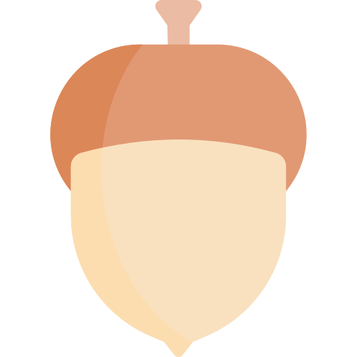 Acorn Special Flat icon