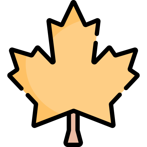 Кленовый лист Special Lineal color иконка