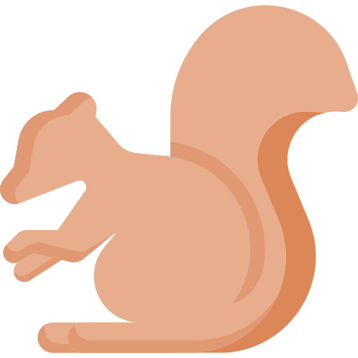 eichhörnchen Special Flat icon