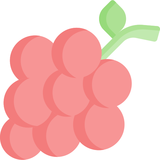 Grapes Special Flat icon