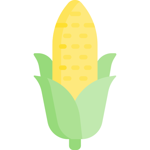 Corn Special Flat icon