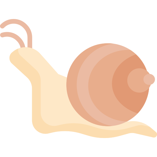 escargot Special Flat Icône