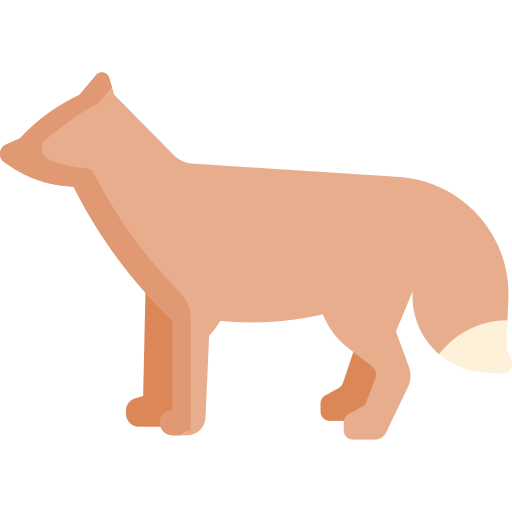 Fox Special Flat icon