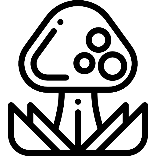 キノコ Detailed Rounded Lineal icon