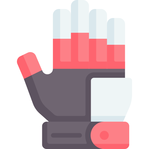 handschuhe Special Flat icon