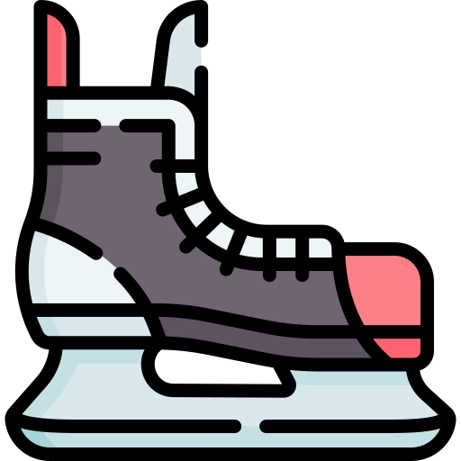 Skates Special Lineal color icon