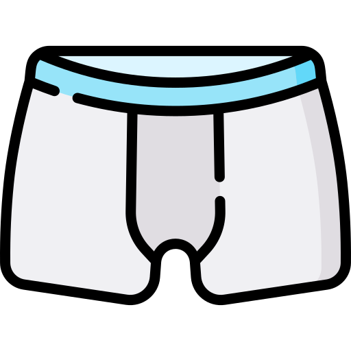 Boxer Special Lineal color icon