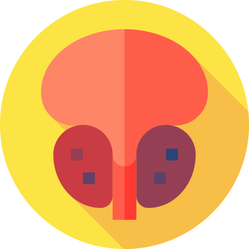 Prostate cancer Flat Circular Flat icon