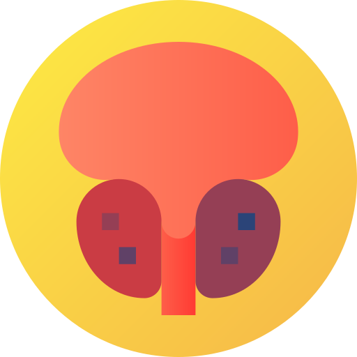 rak prostaty Flat Circular Gradient ikona