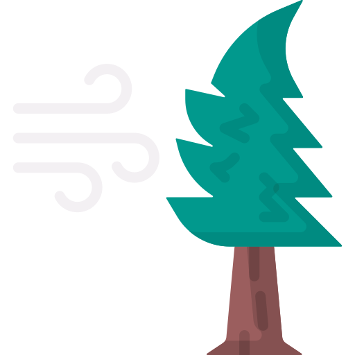 Wind Special Flat icon