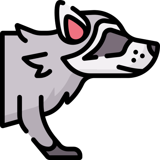 Racoon Special Lineal color icon