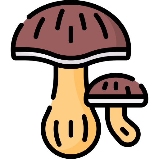 cogumelo Special Lineal color Ícone