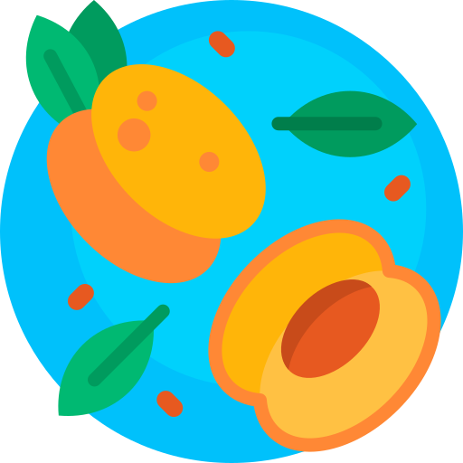 Apricot Detailed Flat Circular Flat icon
