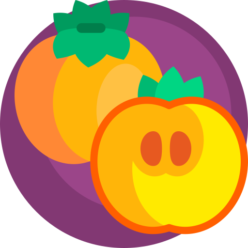 persimmon Detailed Flat Circular Flat icon