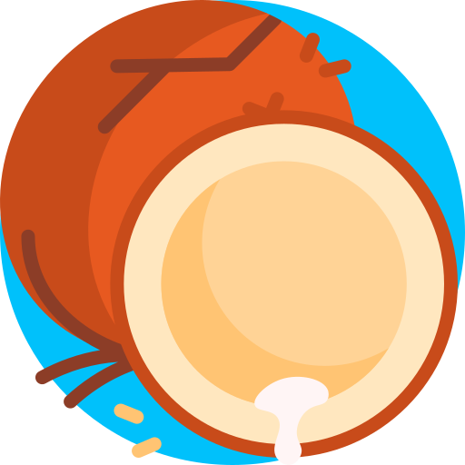 kokosnoot Detailed Flat Circular Flat icoon