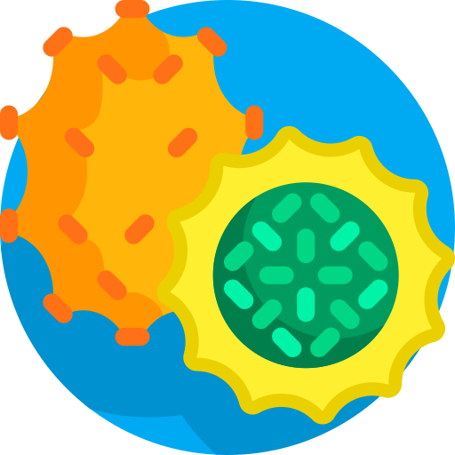 Kiwano Detailed Flat Circular Flat icon