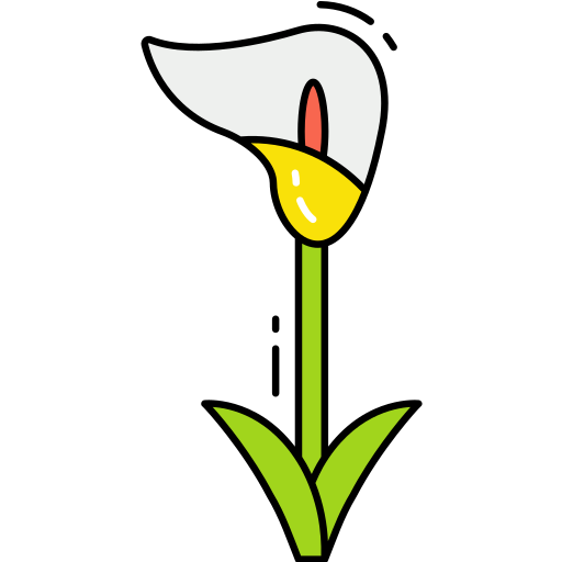 calla-lilie Generic Outline Color icon