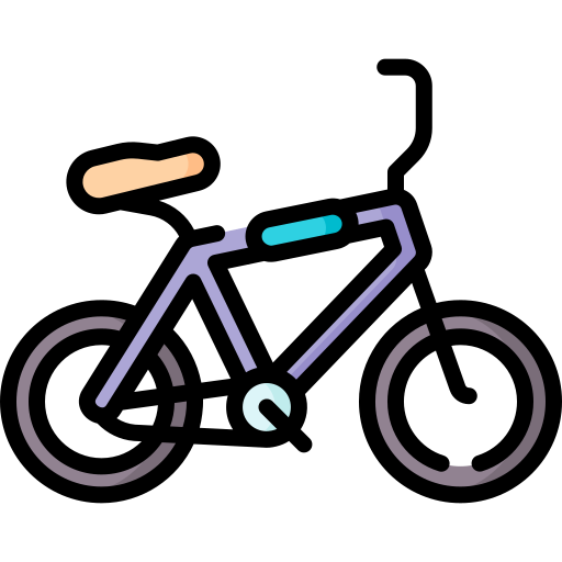 bmx Special Lineal color icon