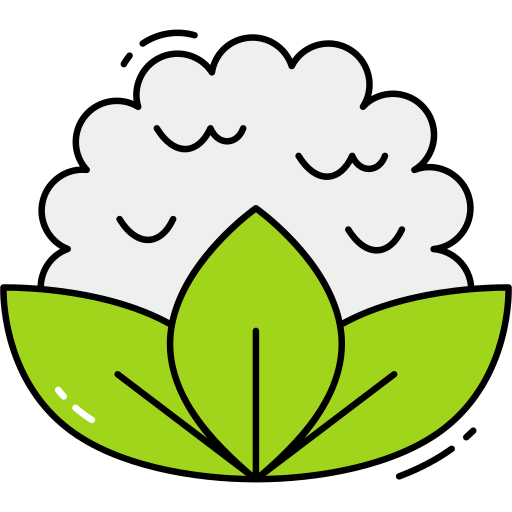 Cauliflower Generic Thin Outline Color icon