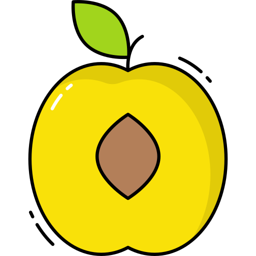albaricoque Generic Outline Color icono