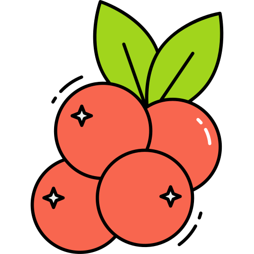 Cranberry Generic Outline Color icon
