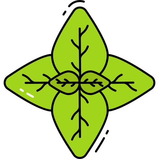 albahaca Generic Thin Outline Color icono
