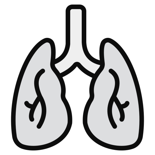 Lungs Generic Outline Color icon