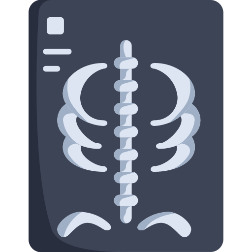 Рентгеновский Generic Flat иконка