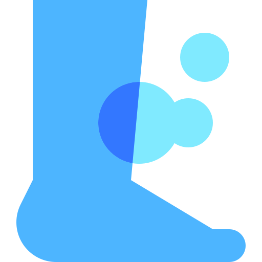 Foot Basic Sheer Flat icon