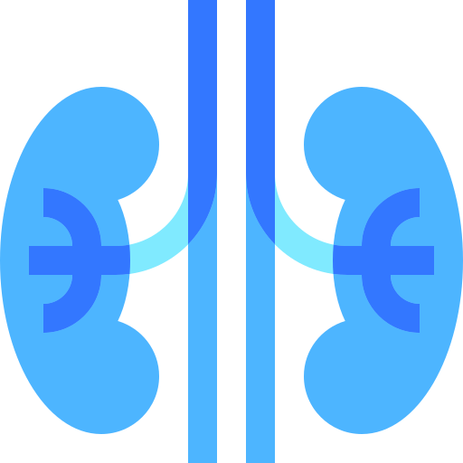 renal Basic Sheer Flat Ícone