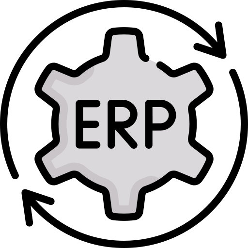 erp Special Lineal color icon