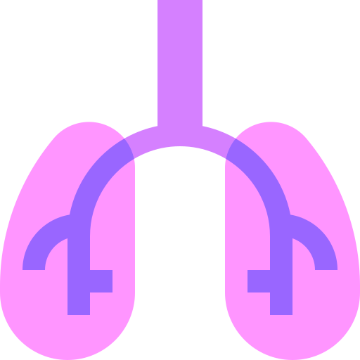 respiratorio Basic Sheer Flat icona