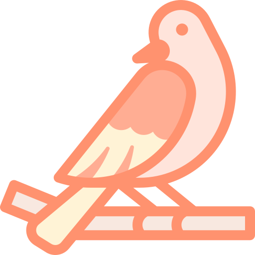 pájaro Detailed color Lineal color icono
