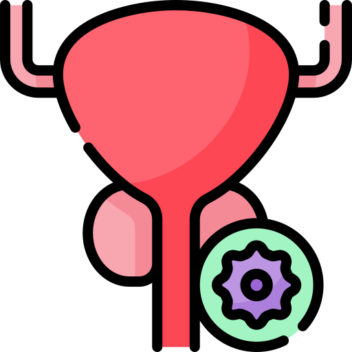 Prostate Special Lineal color icon