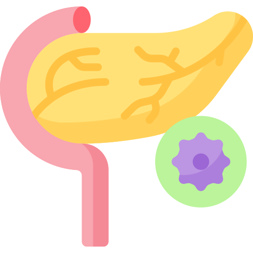 膵臓 Special Flat icon