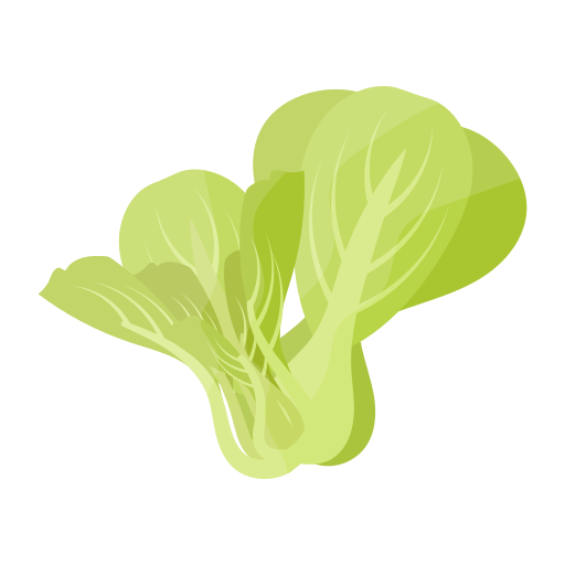 Lettuce Generic Flat icon