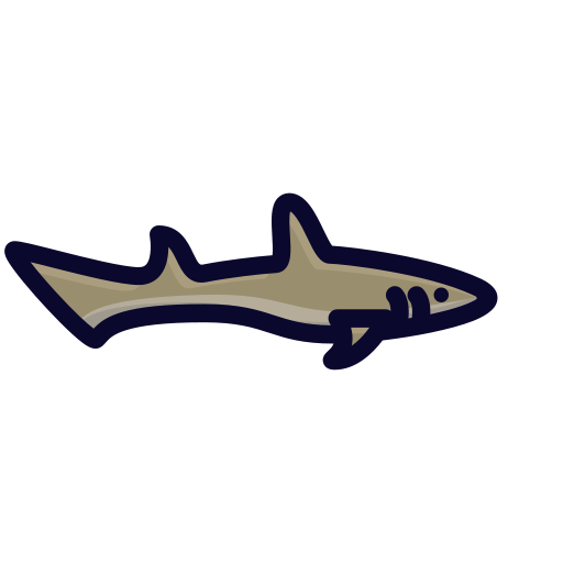 requin Generic Outline Color Icône
