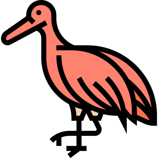 Bird Meticulous Lineal Color icon