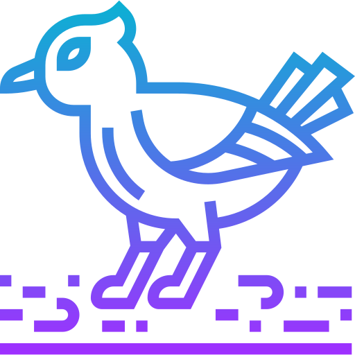 Bird Meticulous Gradient icon