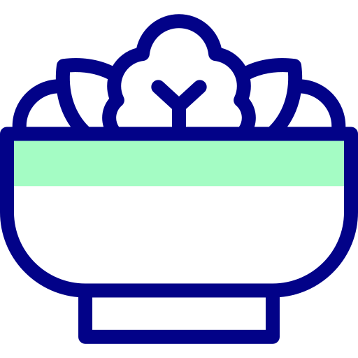 샐러드 Detailed Mixed Lineal color icon