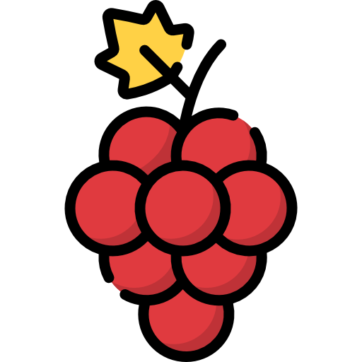 Grapes Special Lineal color icon