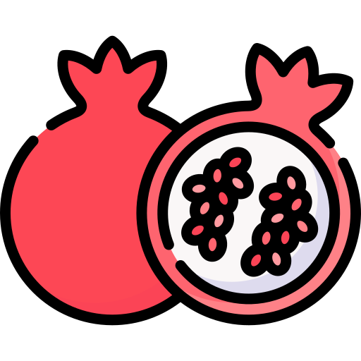 Pomegranate Special Lineal color icon
