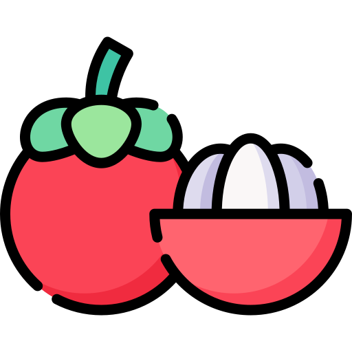 Mangosteen Special Lineal color icon